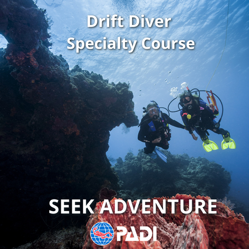 Drift Dive Specialty